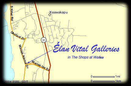 &Eacute;lan Vital Gallery of Fine art and Abstract Paintings.