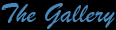 Browse &Eacute;lan Vital Web Galleries.